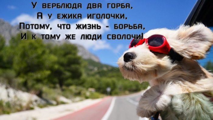 imgonline-com-ua-resize-rwytkxd7ntkt7iuv