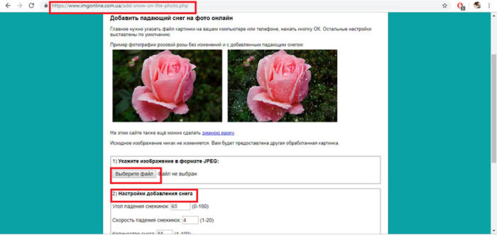 imgonline-com-ua-resize-unki1tuxwnj5