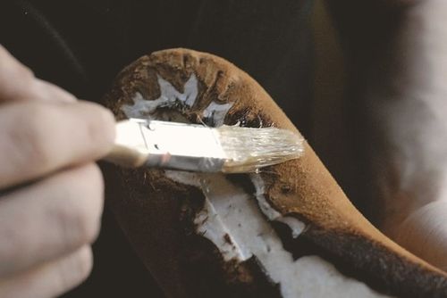 ÐÐ°Ð½ÐµÑÐµÐ½Ð¸Ðµ ÐºÐ»ÐµÑ