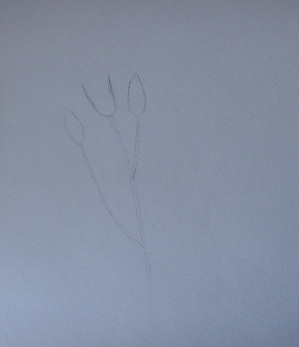 risunok-na-9-maja-poehtapno-karandashom-1