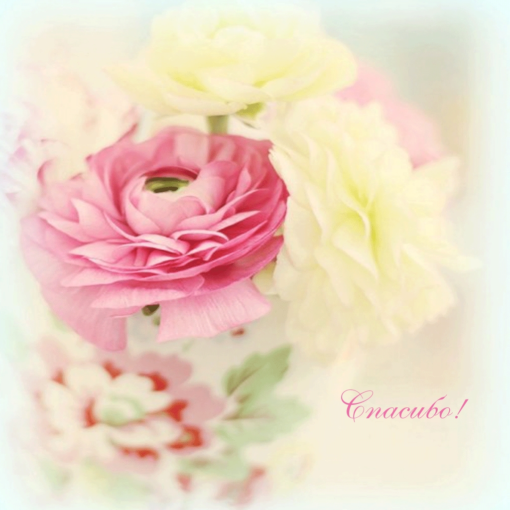 Песня с днем рождения нежная моя. С днеммрожденья женщине. Песни с днем рождения. Самые нежные открытки с днем рождения. С днём рождения нежные красивые поздравления.