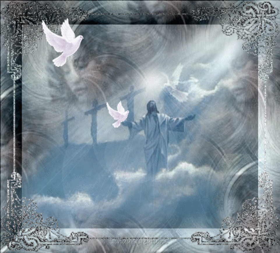 Царствие небесное душе. Ангел Царствие небесное. Ангел в небесах. Царство небесное голубь. Голубь Бог.