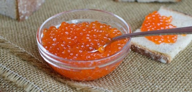 6cd5666c9cab3fc_621x300