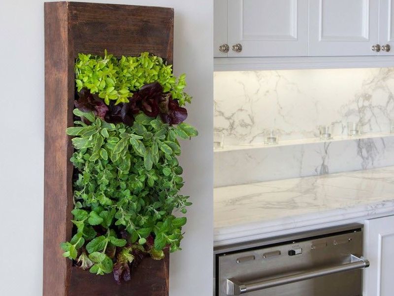 742fcbc3572d411b6820f98c161047b7