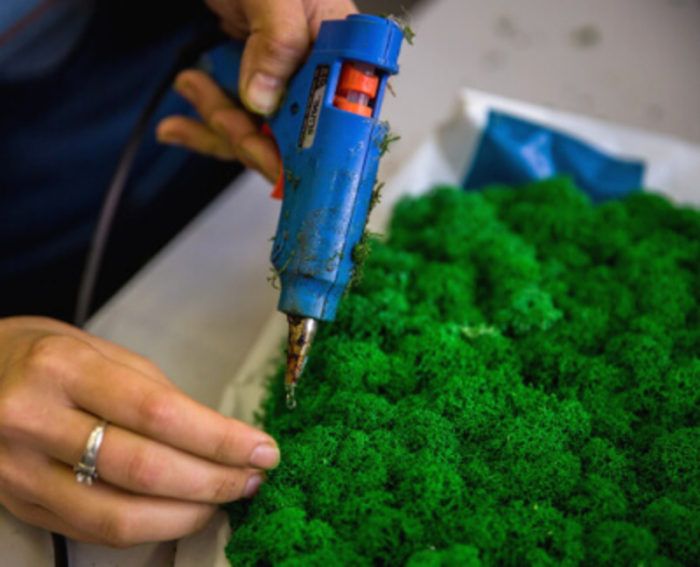 imgonline-com-ua-resize-0t5ppfhxovoayl6p