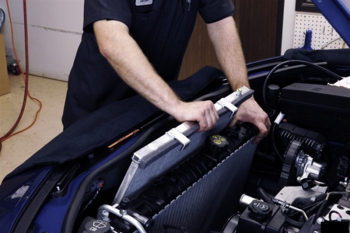 imgonline-com-ua-resize-1kbpi3fqv1xgdk