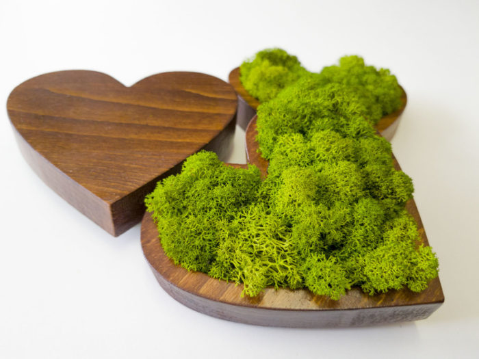 imgonline-com-ua-resize-a2coyig0884