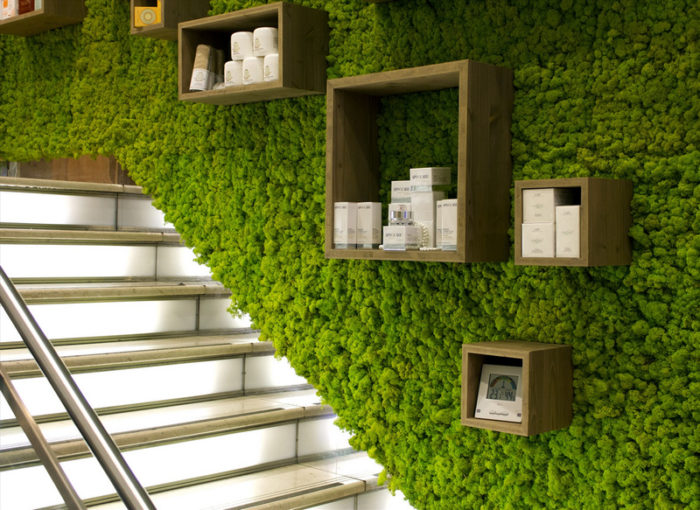 imgonline-com-ua-resize-ahtswi7stprzc7p