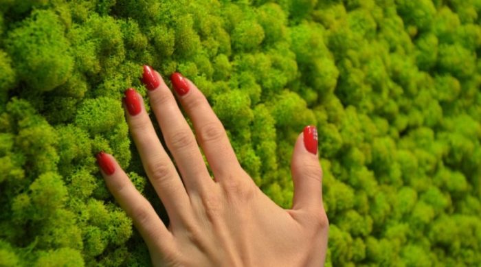 imgonline-com-ua-resize-co1vpvsm02ecadak