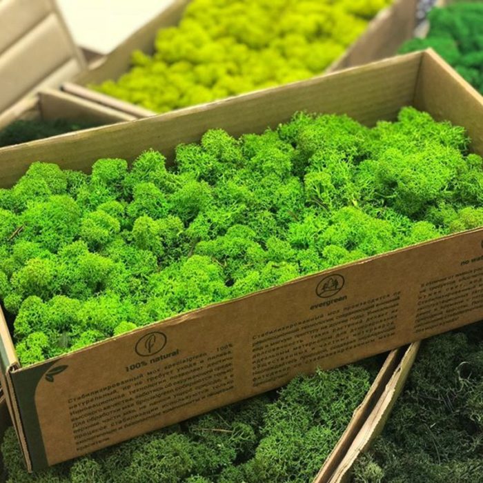 imgonline-com-ua-resize-e3prwzrytfa12z