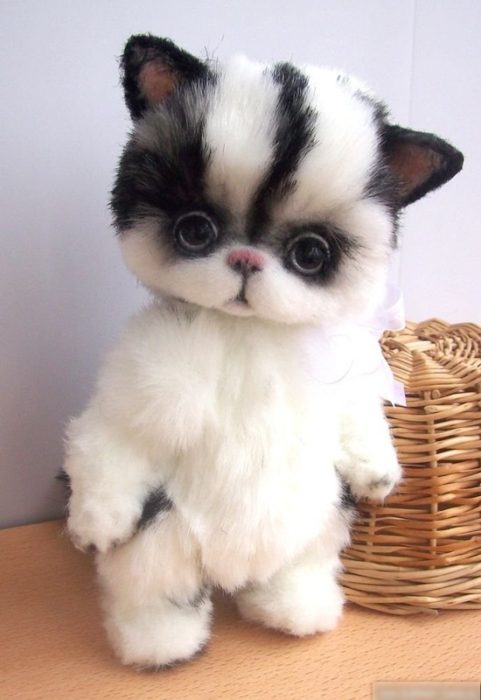 imgonline-com-ua-resize-ks9hh3urai1