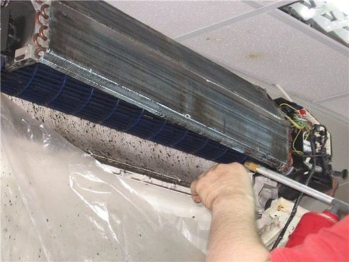 imgonline-com-ua-resize-ya81fxxczgn