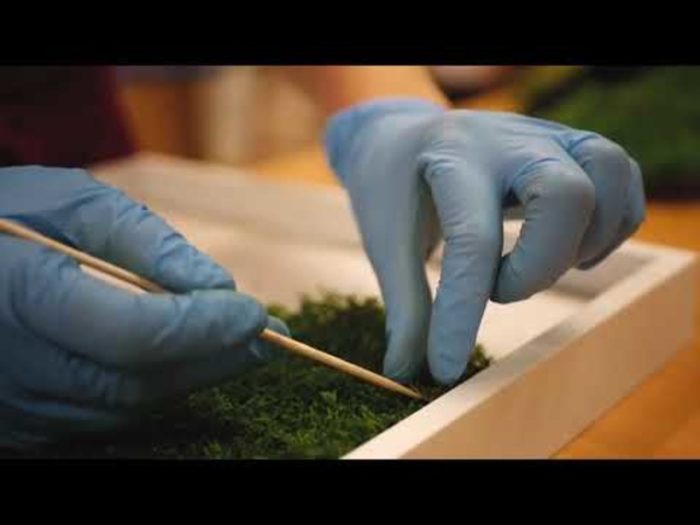 imgonline-com-ua-resize-zc4pqn8ggd