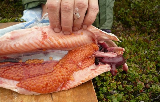 information_items_24424