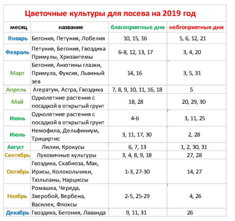 Неблагоприятные дни таблица. Лунный посадочный календарь на 2021 год. Лунный календарь для посадки растений пересадки. Календарь посадки петунии в 2021 году. Лунный посевной календарь на 2021 год для комнатных растений.