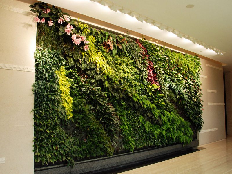 vertikalnoe_ozelenenie_1