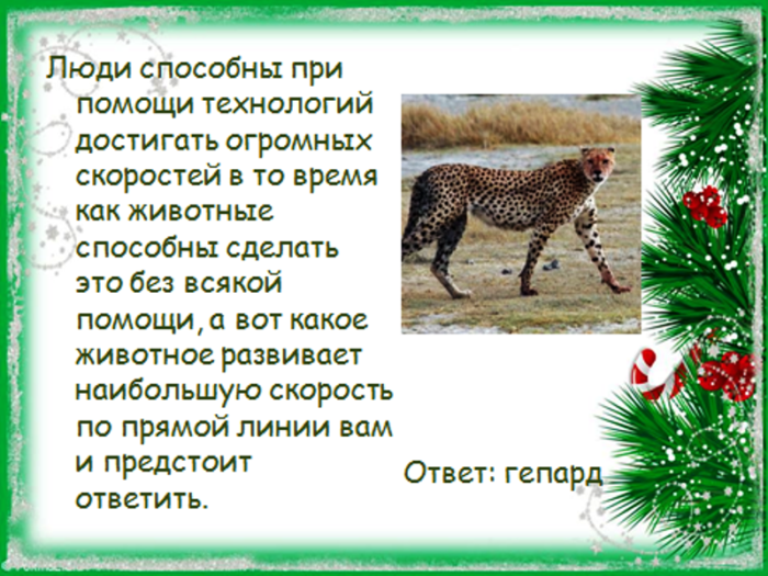 Животное какой вопрос. Вопросы про животных. Викторина про животных для детей. Викторина про животных с ответами. Вопросы для викторины про животных.