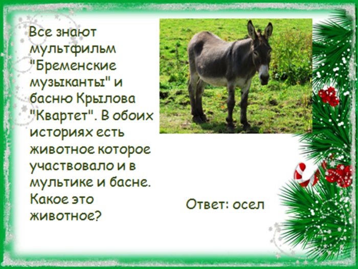 Ответ зверь. Викторина о животных. Вопросы и ответы о животных. Вопросы про животных. Вопросы про животных с ответами для викторины.