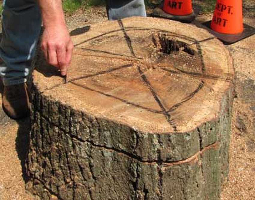 02_shag_vtoroj_thumb