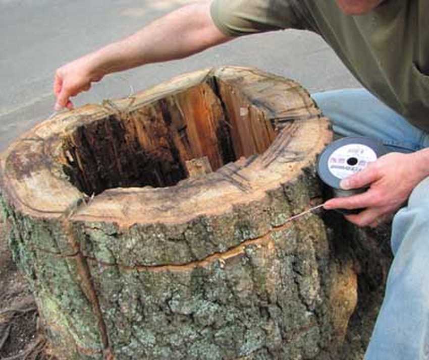 05_shag_pyatyj_thumb