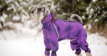 1474303530_w1280_h1280_diego55