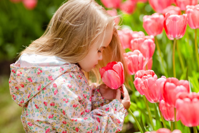 very cute beautiful girl blonde in pink coat costs around flower beds with red tulips in the Park and smelling the flower