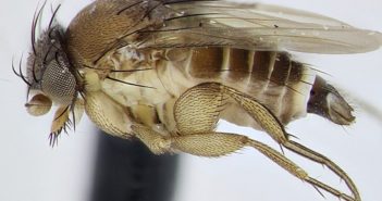 8edd8fddb443441ef7a3dbc2035dc7c7