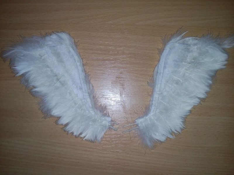 945676727775c4f970b654b9973u