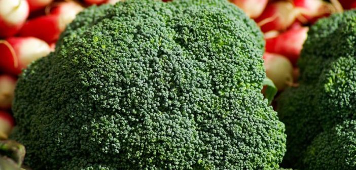 broccoli-673204_960_720_2018-09-21_12-12-21