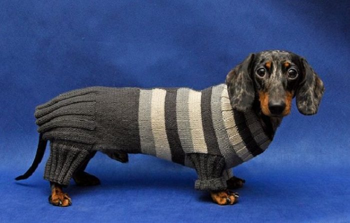 cb32a1a6497411d244a48e703be5de20