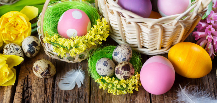 holidays-easter-eggs-basket-tulip-spring-paskha-iaitsa-tsvet