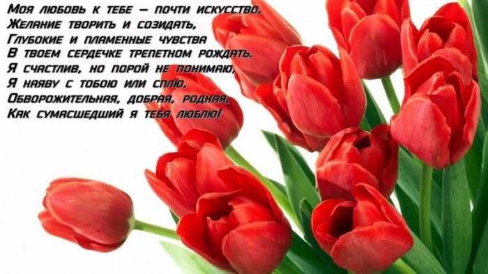 imgonline-com-ua-resize-n0hhsogrstkfyoi