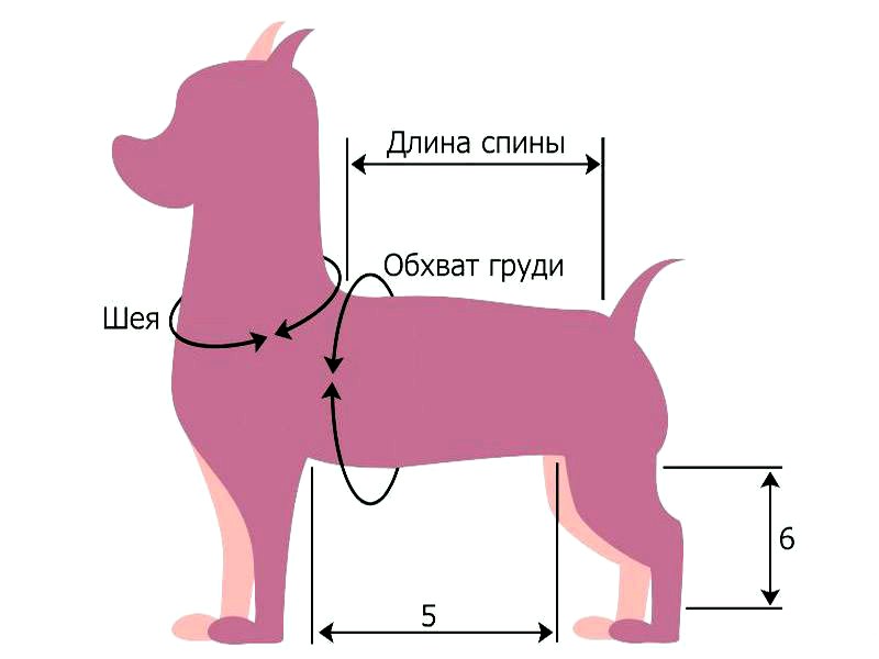 Выкройка жилета для собаки крупной породы с размерами