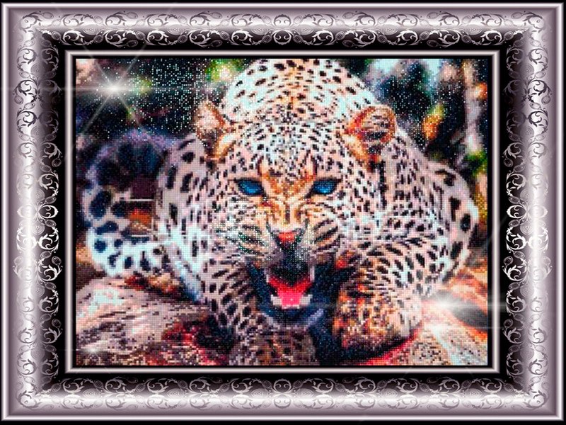 leopard-strazami