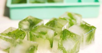 mint-ice-cubes-wearandcheer-com_