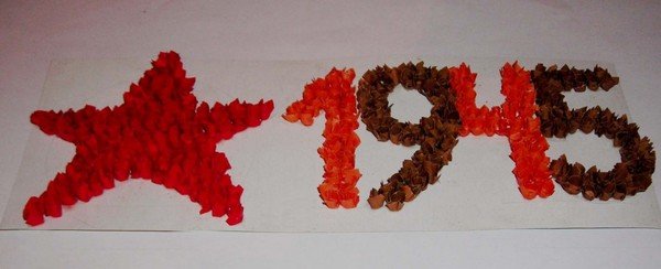 1456596597_podelki-na-9-maya-foto-4