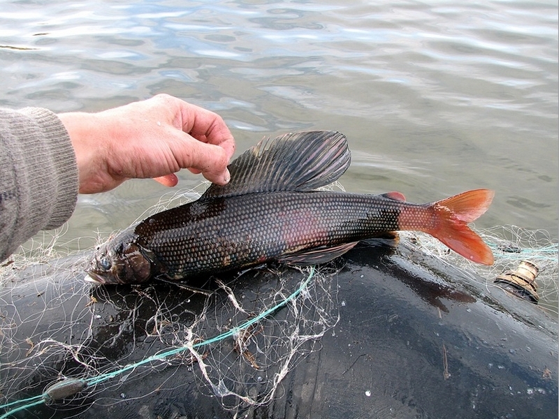 15-samyh-rybnyh-mest-rossii-13