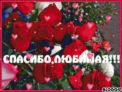 bloggif_5c9251ace373d