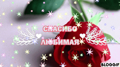 bloggif_5c92534955962