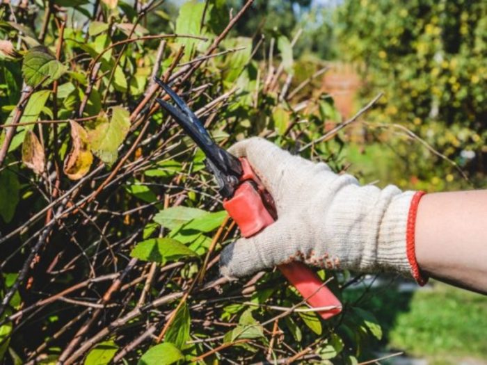 imgonline-com-ua-resize-0ajdrmubaidcwvv5