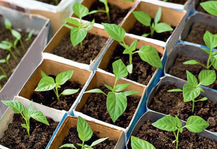 imgonline-com-ua-resize-2hyitijmlburk