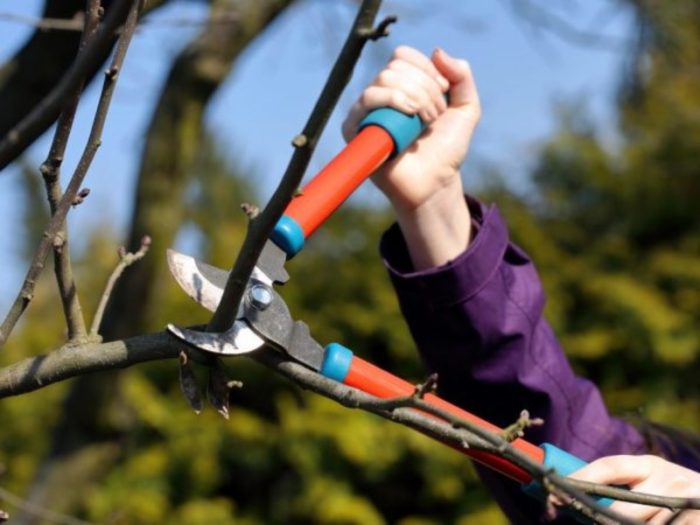 imgonline-com-ua-resize-fwbbywa4u83fahk