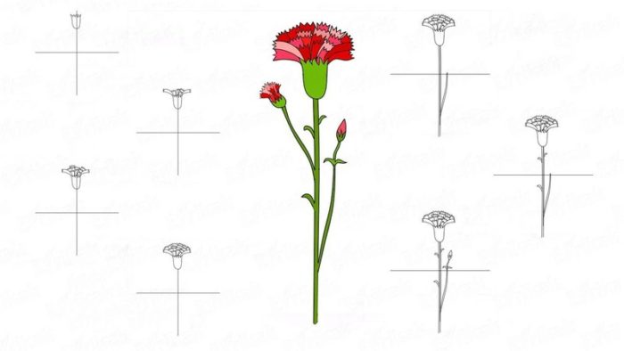 imgonline-com-ua-resize-kpz87step1fudxp