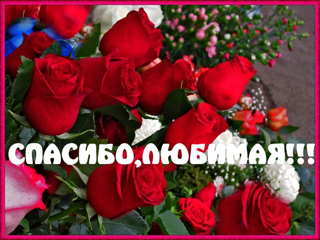 kartinki_s_nadpisyu_spasibo_6_22233934