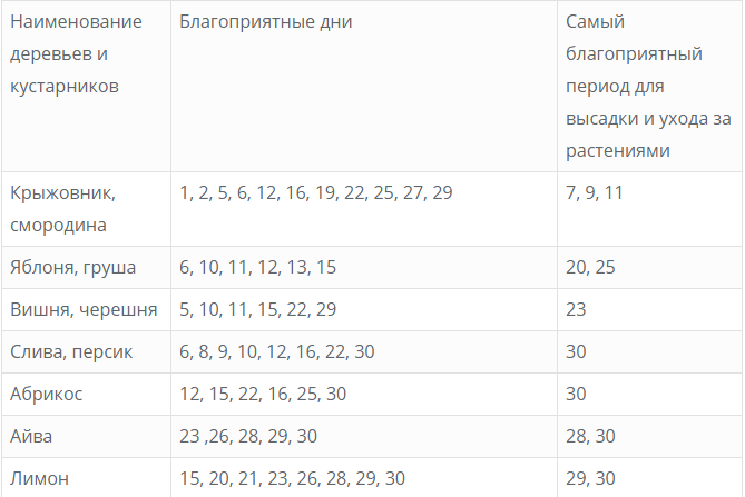 Маршрут 739 некрасовка садовод расписание