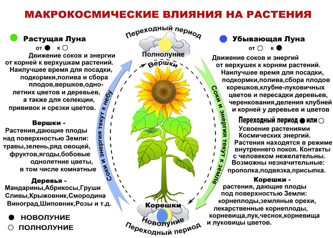 screenshot_213