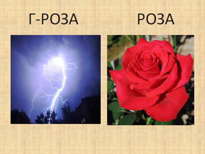 Загадка про розу для детей. Розы в грозу. Ребусы роза гроза. Картинки роза и гроза. Обои с розами и грозой.