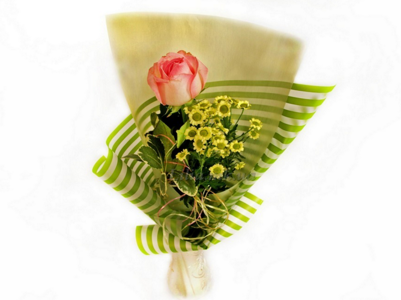 vetka-rozy-i-hrizantemy