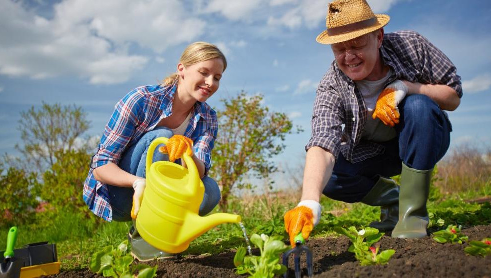 wpwhvfel1njah5iprvnh-1060x600