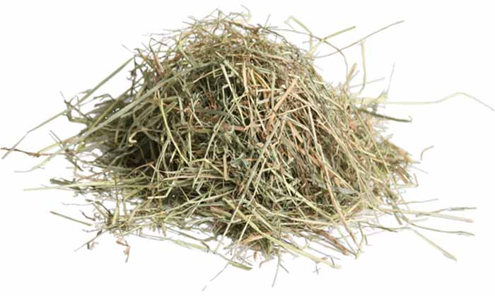 a90ee0b5c0ce6ee0e1b507bf9e172c69